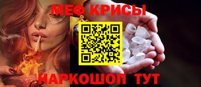 крисы Кингисепп