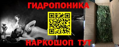 дмт Кинель