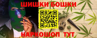 крисы Кингисепп