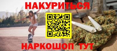 крисы Кингисепп