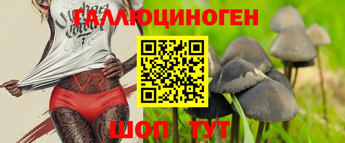 Псилоцибиновые грибы мицелий Кострома