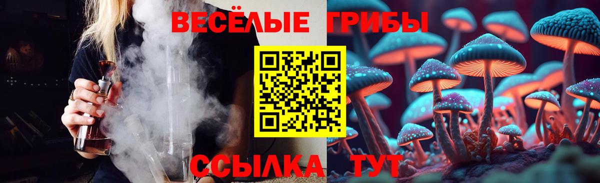 Кострома  купить   Вход с VPN  Галлюциногенные грибы Psilocybine cubensis 
